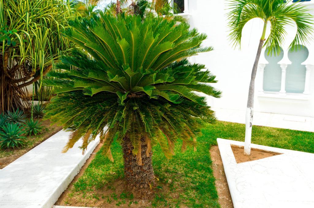 Hotel Aldea Del Bazar & Spa Puerto Escondido  Extérieur photo